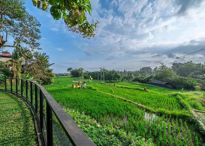 Sola * Ubud
